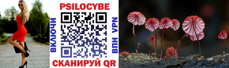 Купить  Учалы  Галлюциногенные грибы Psilocybe 